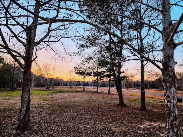 view of yard at dusk