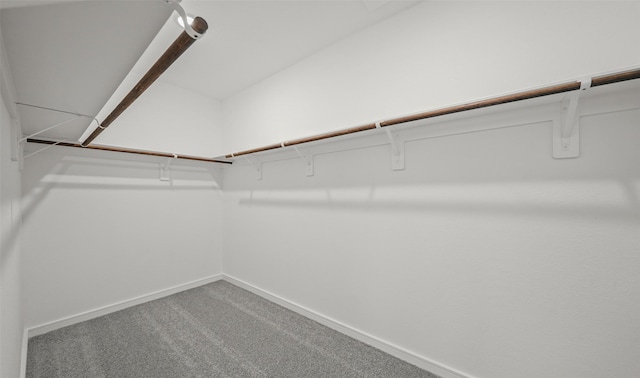 walk in closet featuring carpet flooring