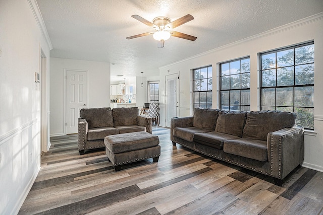 living room with ceiling fan, wood-type flooring, and a textured ceiling