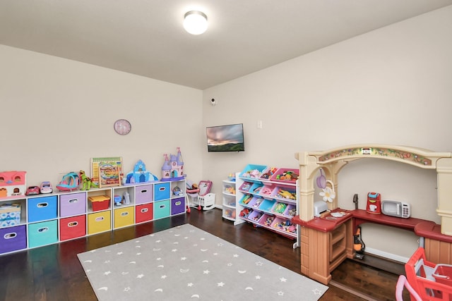 playroom featuring dark wood-type flooring