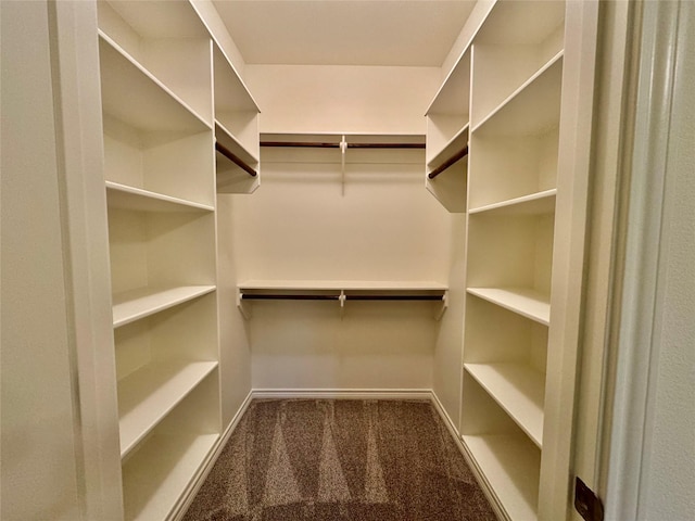 spacious closet featuring carpet flooring