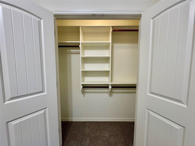 view of closet