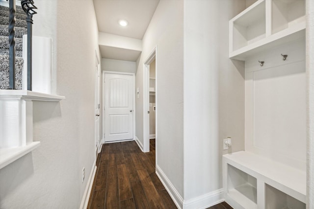 mudroom featuring dark wood-type flooring