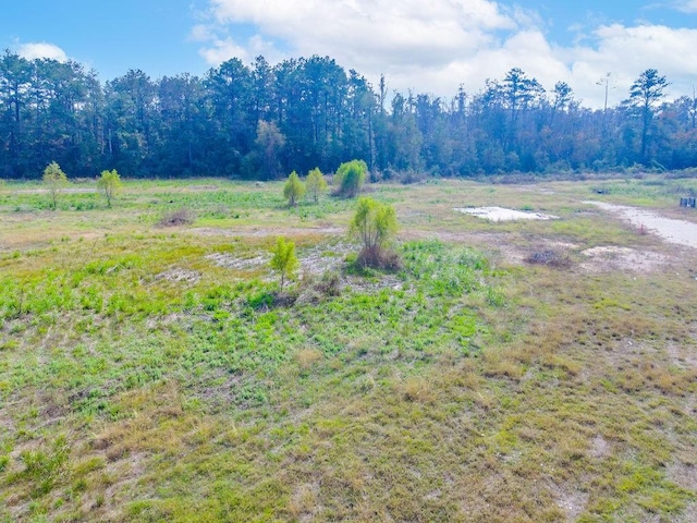 10599 Fm 363, Newton, TX 75966 - photo 6