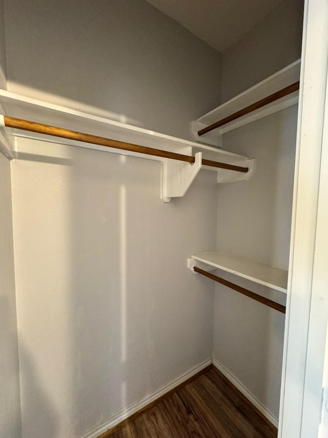 spacious closet featuring dark wood-type flooring