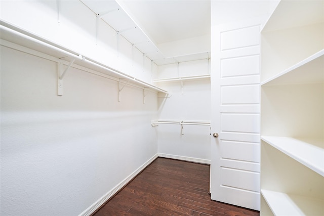 walk in closet with dark wood-type flooring