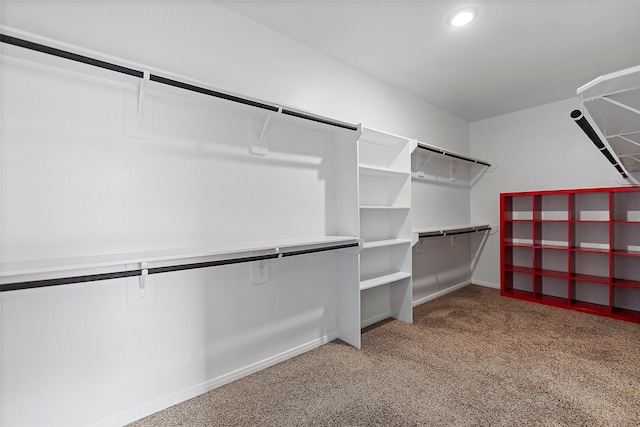 walk in closet featuring carpet