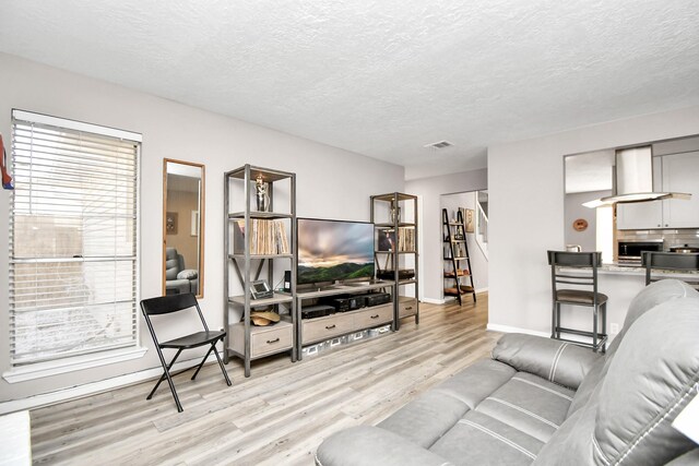 living room with a textured ceiling and light hardwood / wood-style flooring