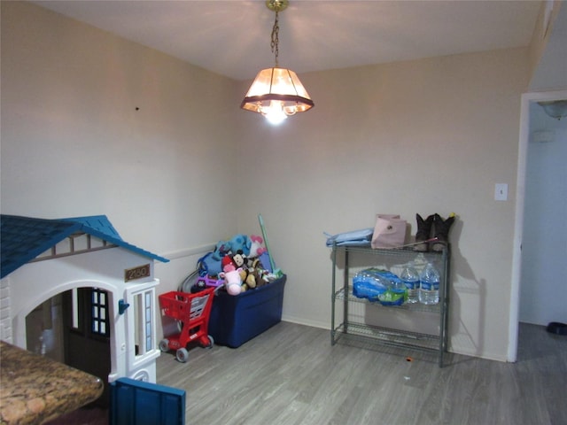 recreation room with hardwood / wood-style flooring