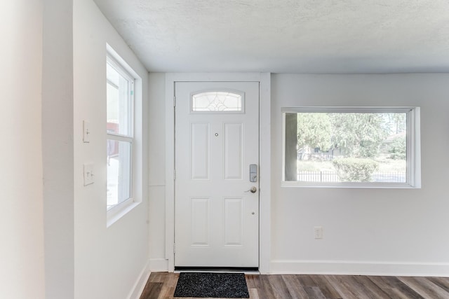 foyer entrance featuring hardwood / wood-style floors, a textured ceiling, and a healthy amount of sunlight