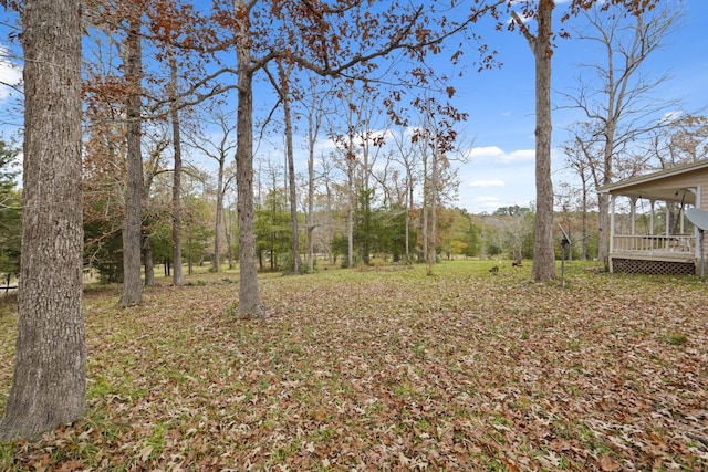 view of yard with a wooden deck