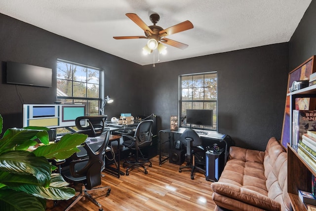 office space with hardwood / wood-style floors, plenty of natural light, ceiling fan, and a textured ceiling