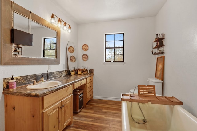 bathroom with hardwood / wood-style floors and vanity