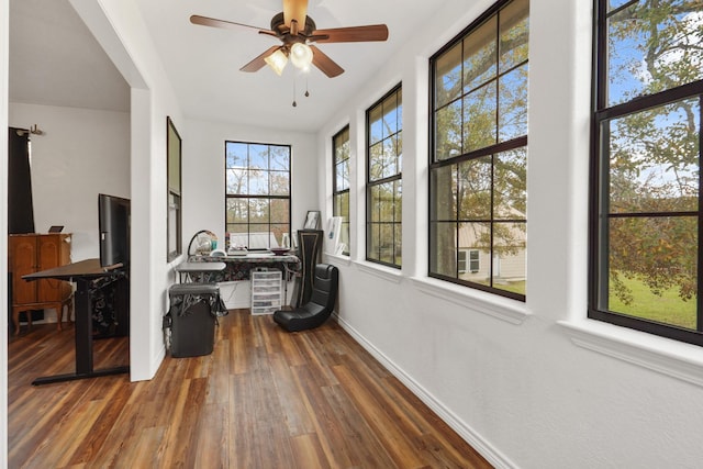 interior space with ceiling fan and a healthy amount of sunlight