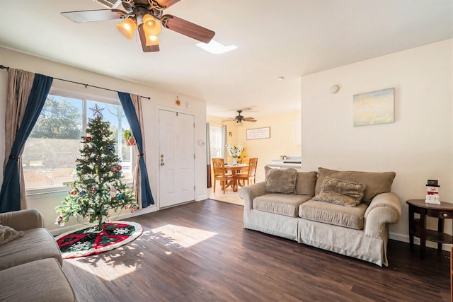 living room featuring ceiling fan and dark hardwood / wood-style flooring