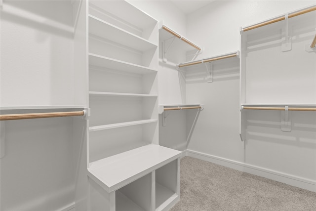 spacious closet featuring carpet flooring