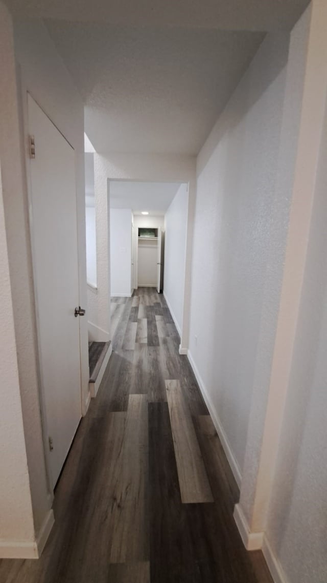 hall featuring dark hardwood / wood-style floors