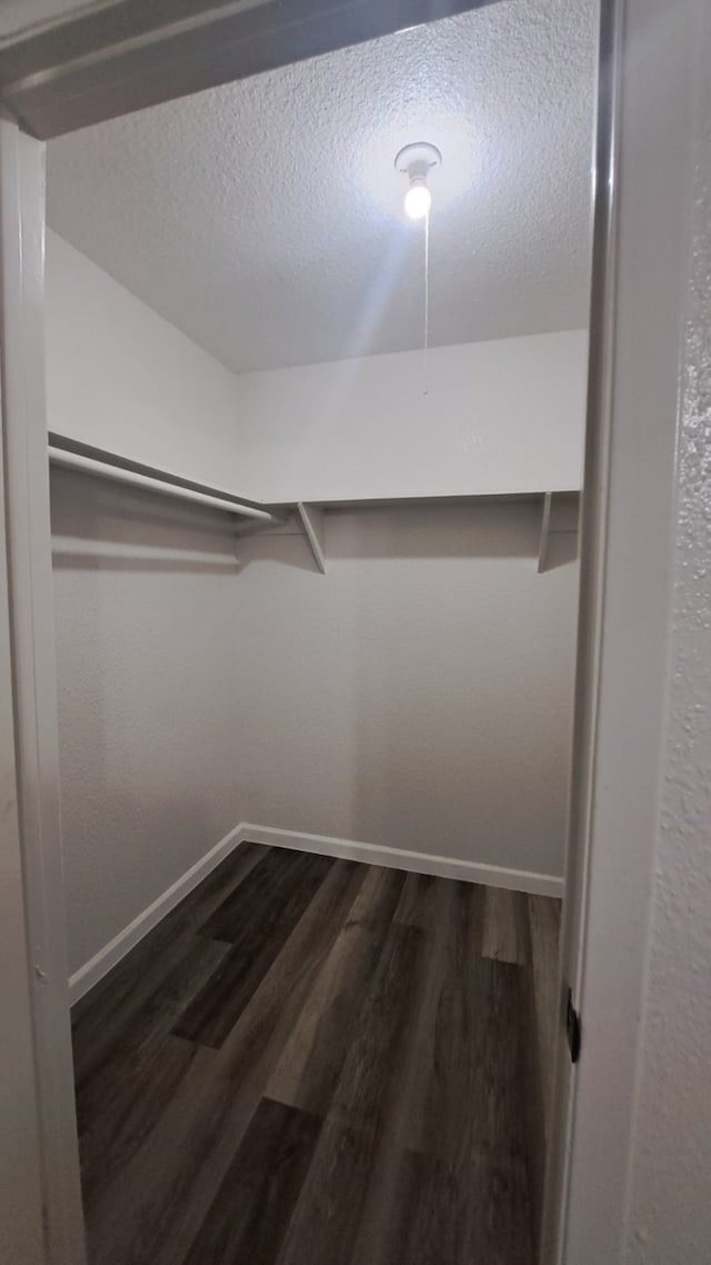 walk in closet featuring dark wood-type flooring