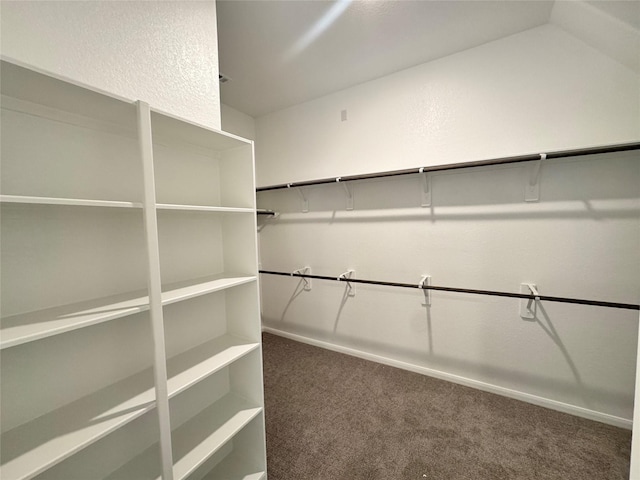 spacious closet featuring carpet flooring