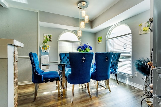 dining space featuring hardwood / wood-style flooring and a wealth of natural light