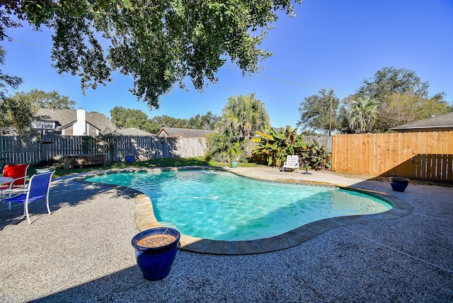 view of pool with a patio area