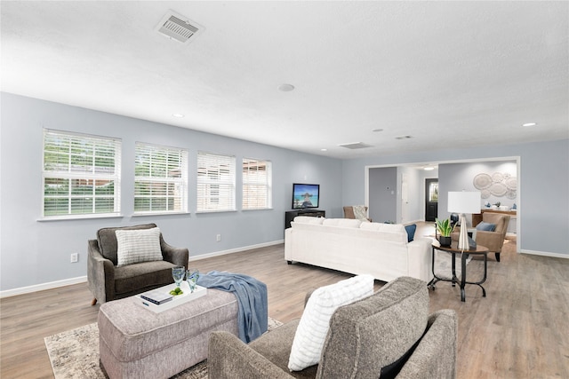 living room featuring light hardwood / wood-style flooring