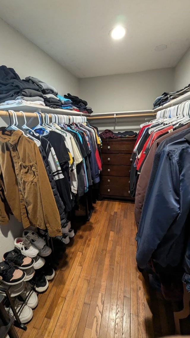 spacious closet featuring wood-type flooring