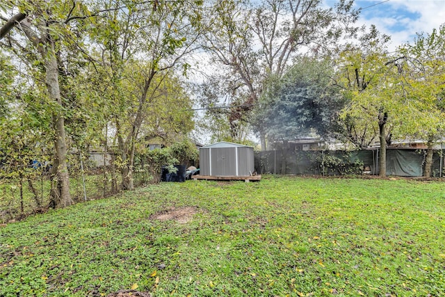 view of yard featuring a storage unit