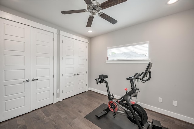 workout area with ceiling fan and dark hardwood / wood-style floors