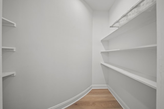 walk in closet with light wood-type flooring