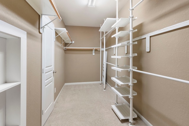 spacious closet with carpet flooring