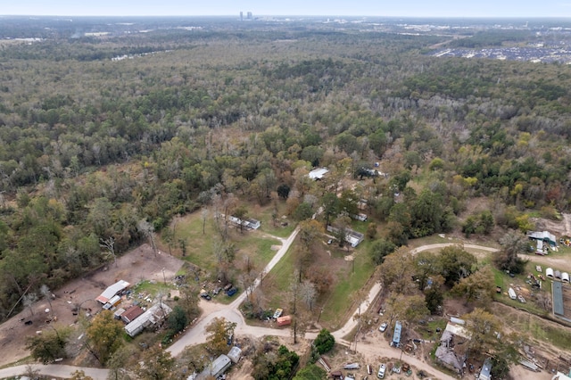 bird's eye view