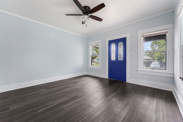 entrance foyer with crown molding, ceiling fan, and dark wood-type flooring