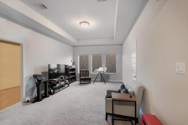 interior space featuring a raised ceiling and carpet floors