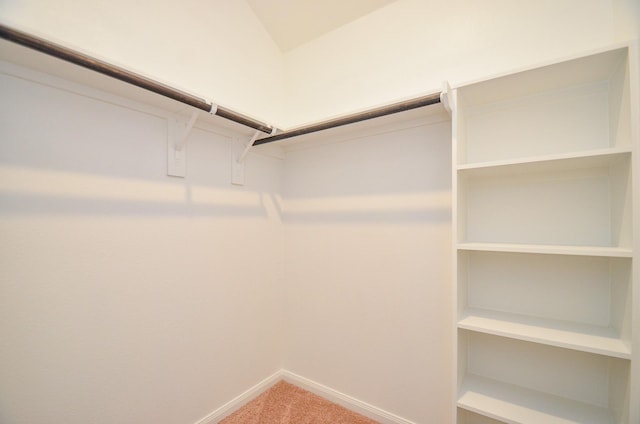 walk in closet featuring carpet