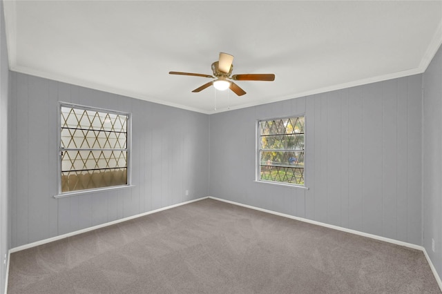 unfurnished room with crown molding, carpet, and ceiling fan