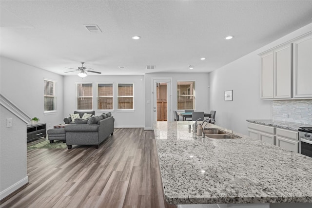 interior space with white cabinetry, wood-type flooring, sink, and a kitchen island with sink