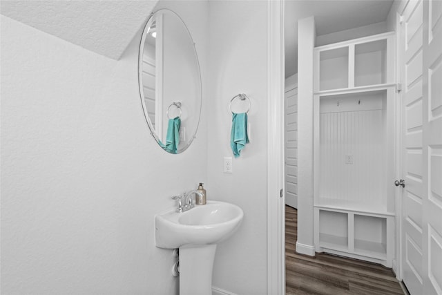 bathroom with sink and hardwood / wood-style flooring