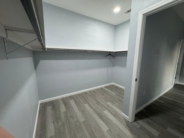 walk in closet with wood-type flooring