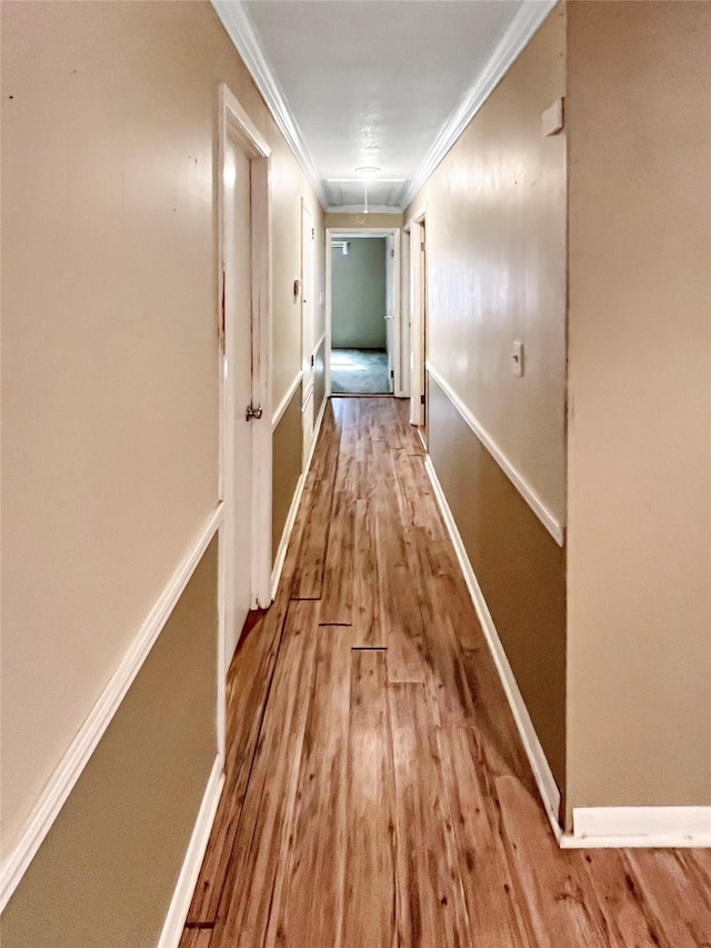 hall featuring crown molding and light wood-type flooring