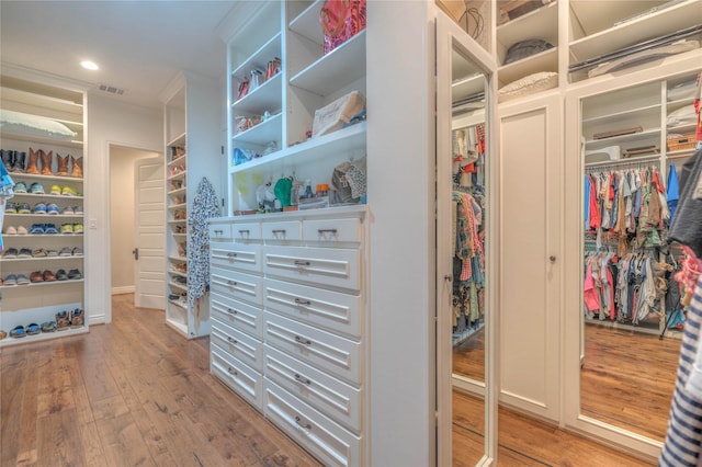 walk in closet with wood-type flooring