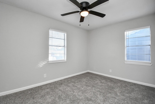 spare room with carpet and a wealth of natural light