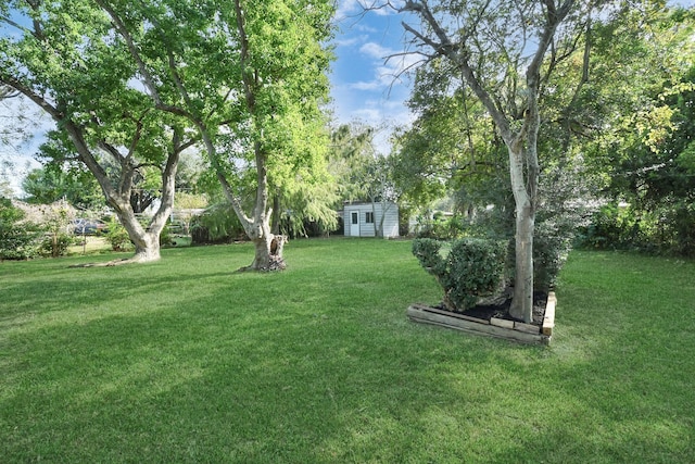 view of yard featuring a storage shed