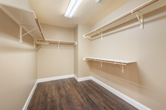 spacious closet featuring dark hardwood / wood-style flooring