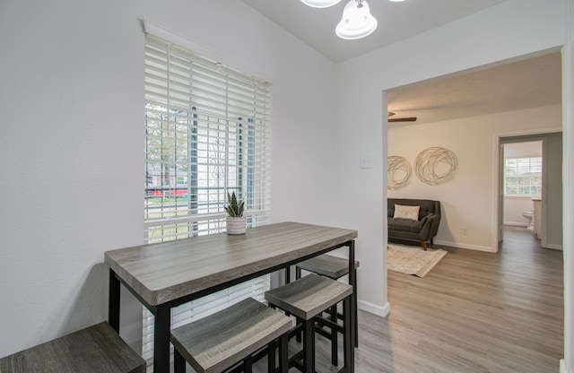 dining area featuring hardwood / wood-style floors and ceiling fan