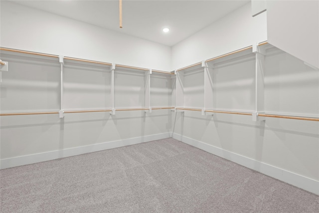 spacious closet featuring carpet flooring