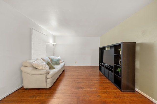 living room with wood-type flooring