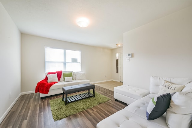 living room featuring wood-type flooring