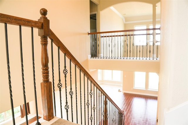 staircase with hardwood / wood-style floors