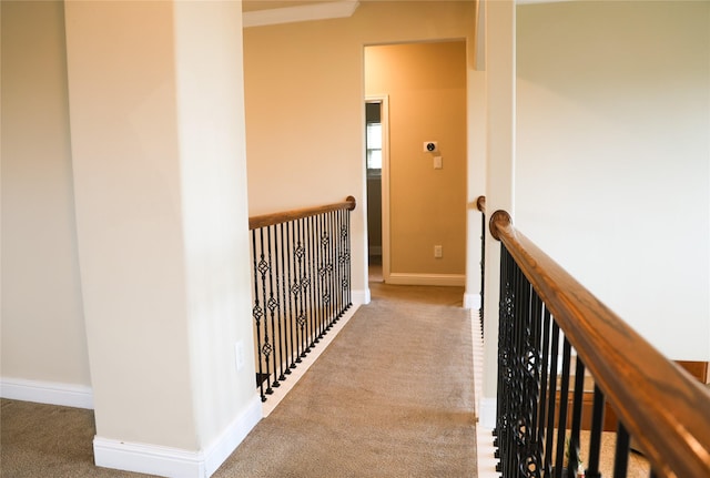 hallway with light carpet